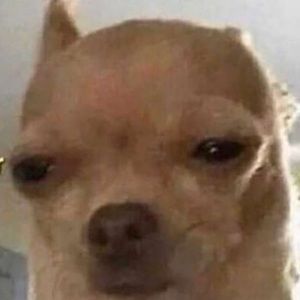 Meet your Posher, Amani